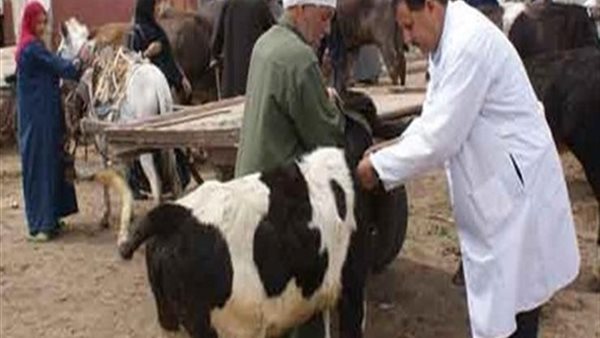 صورة من الحدث