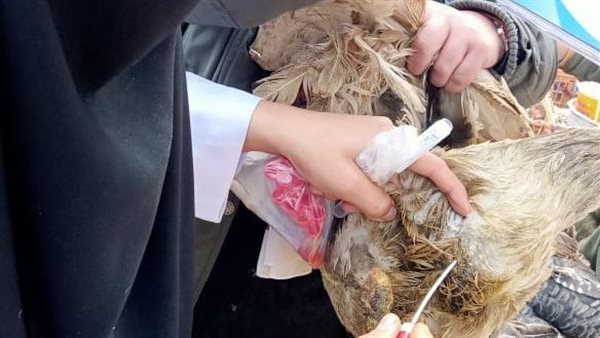 صورة من الحدث