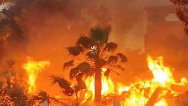 صورة من الحدث