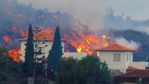 صورة من الحدث