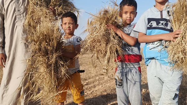  مدينة النجيلة 