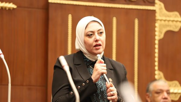 النائبة نهى زكي