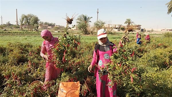 صورة من الحدث