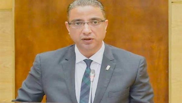 محافظ الفيوم