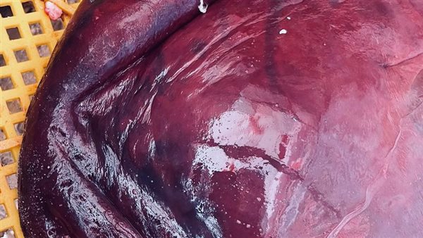 صورة من الحدث