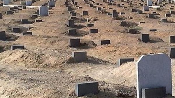 صور ارشيفية