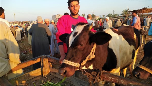 صورة من الحدث