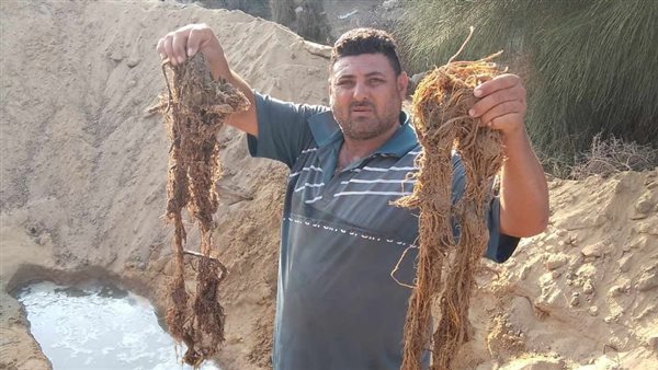 صورة من الحدث