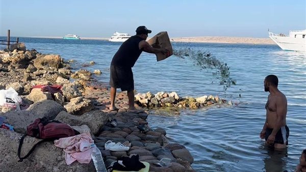 صورة من الحدث