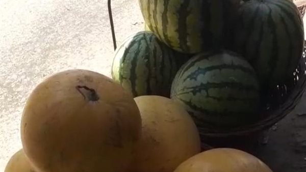 صورة من الحدث