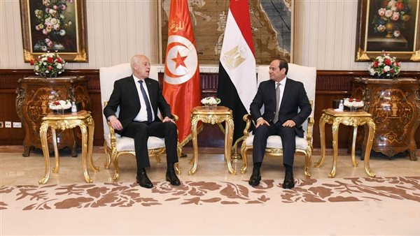 الرئيس السيسي ونظيره