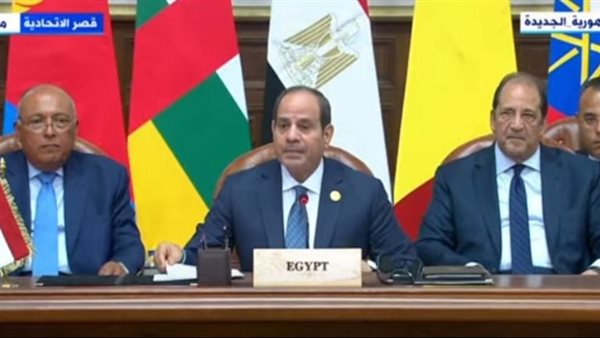 السيسي في قمة دول جوار السودان: مصر تبذل كل ما في وسعها لوقف نزيف الدم