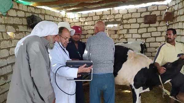 صورة من الحدث