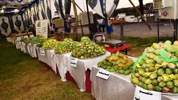 صورة من الحدث