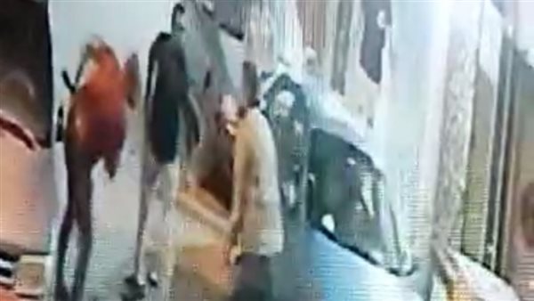 صورة من الحدث