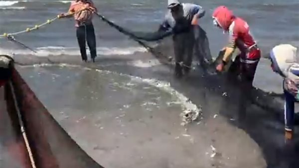 صورة من الحدث