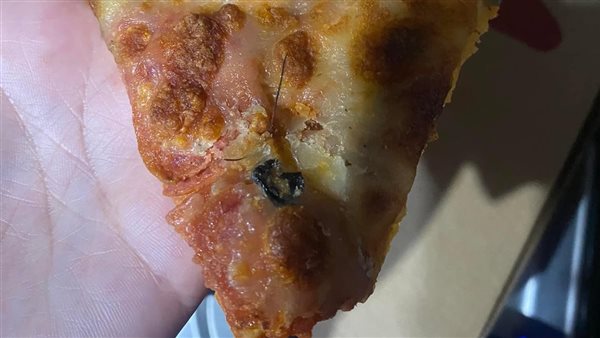 الشعر باليتزا