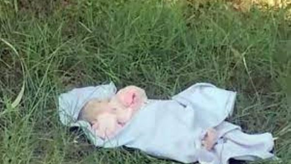 صورة من الحدث