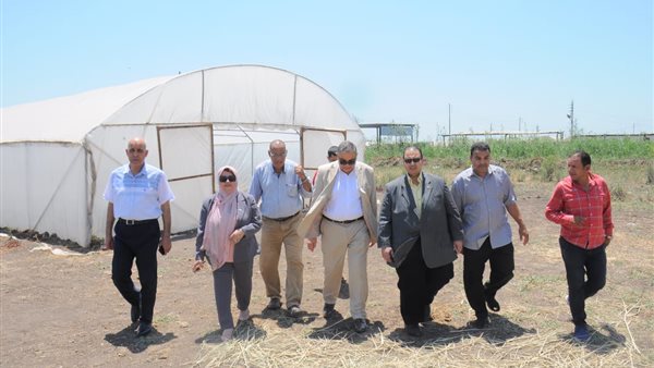 صورة من الحدث