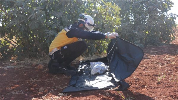 صورة أرشيفية 