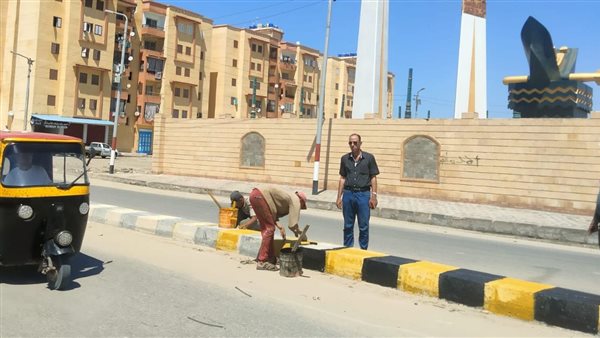 صورة من الحدث