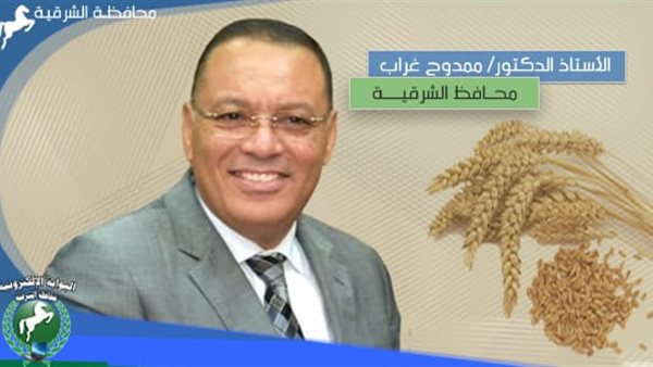 محافظ الشرقية