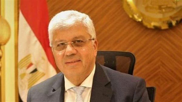 الدكتور أيمن عاشور