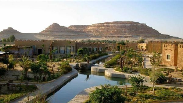 صورة من الحدث