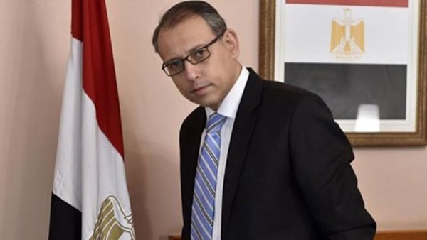 السفير نزيه النجاري