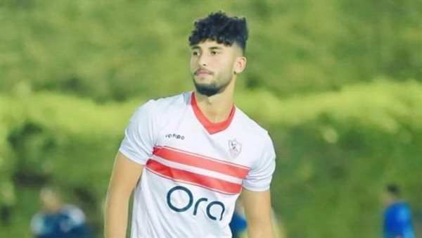 محمد صلاح زكي