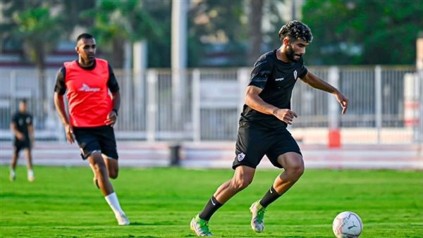 محمد صلاح زكي