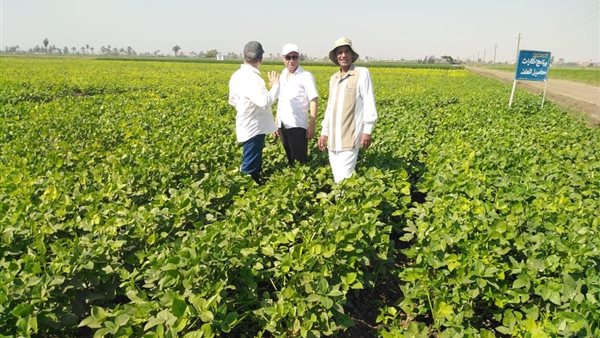 صورة من الحدث