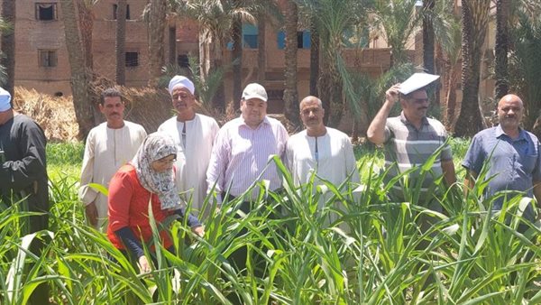 صورة من الحدث