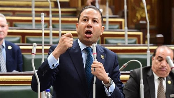 النائب حسن عمار