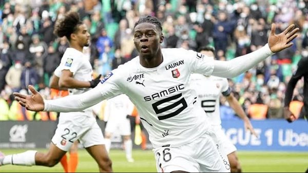 رين الفرنسي 