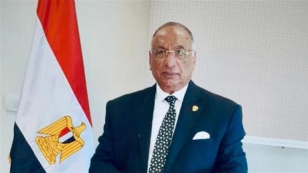  المستشار مسعد عبد