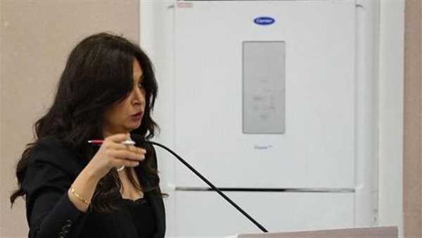 النائبة أميرة العادلي