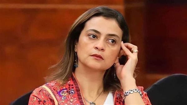 الكاتبة الصحفية علا