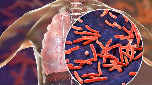 الدكتور حسام عبدالغفار