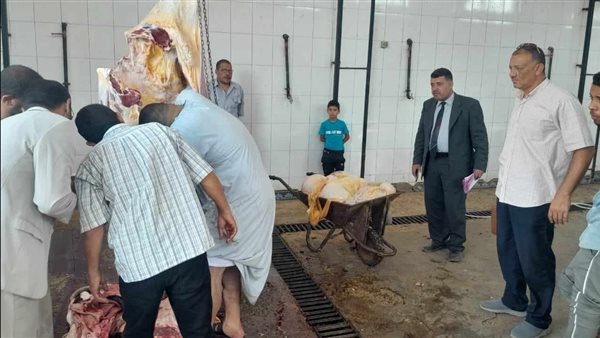  عماد الدين علي معلم