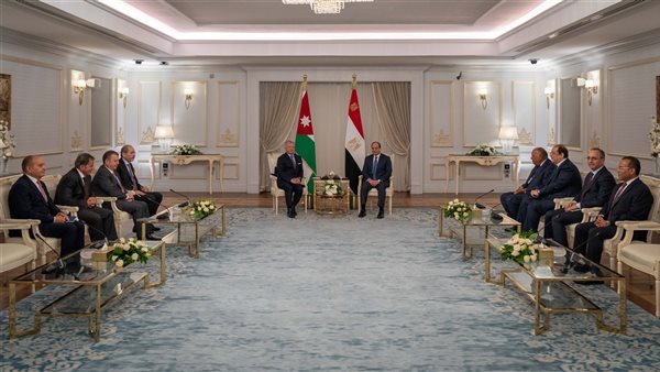 الرئيس السيسي وملك