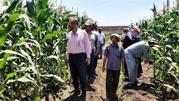 صورة من الحدث