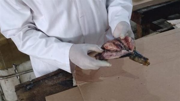 صورة من الحدث