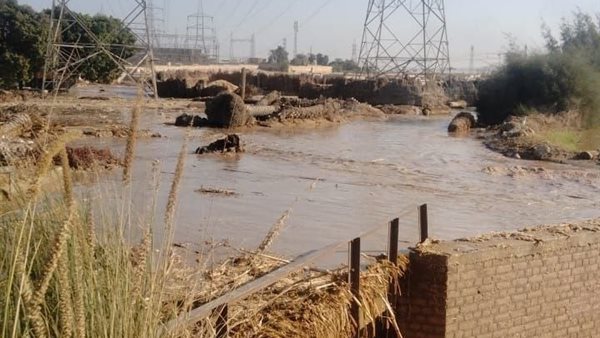 صورة من الحدث