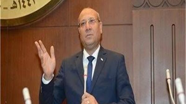 النائب عمرو عكاشة