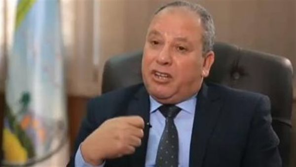 الدكتور محمد الشحات