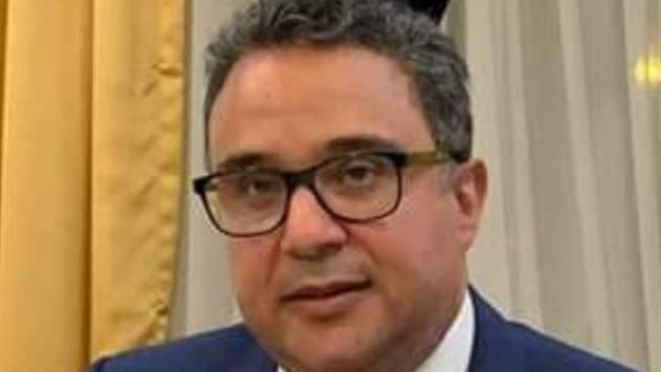 السفير المصرى فى