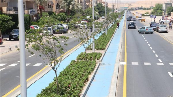 صورة من الحدث