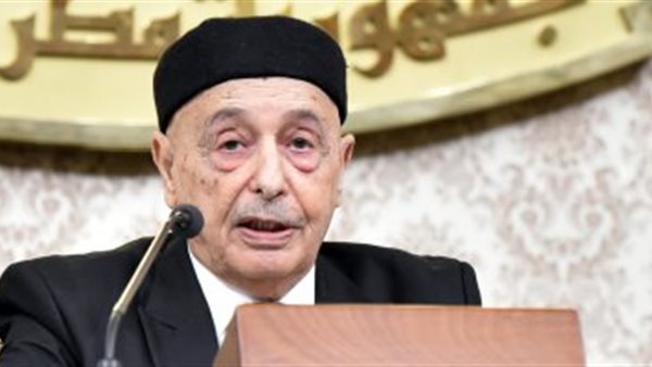 رئيس مجلس النواب