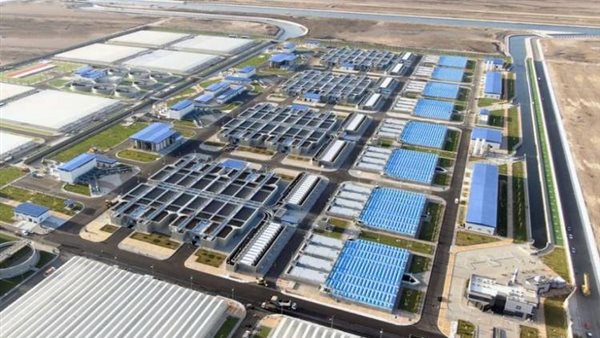 صورة من الارشيف